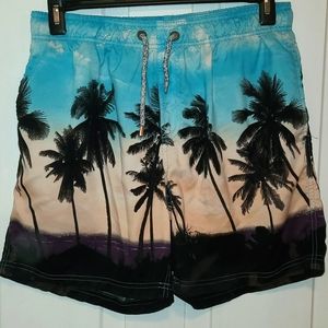 🩳Island Haze Swim Shorts - Men's🩳